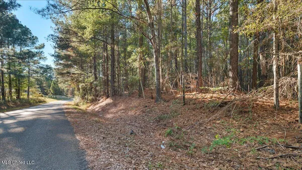 $36,000 | Jimmie Drive, Forest, MS 39074
