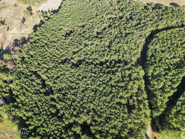 $36,000 | Jimmie Drive, Forest, MS 39074