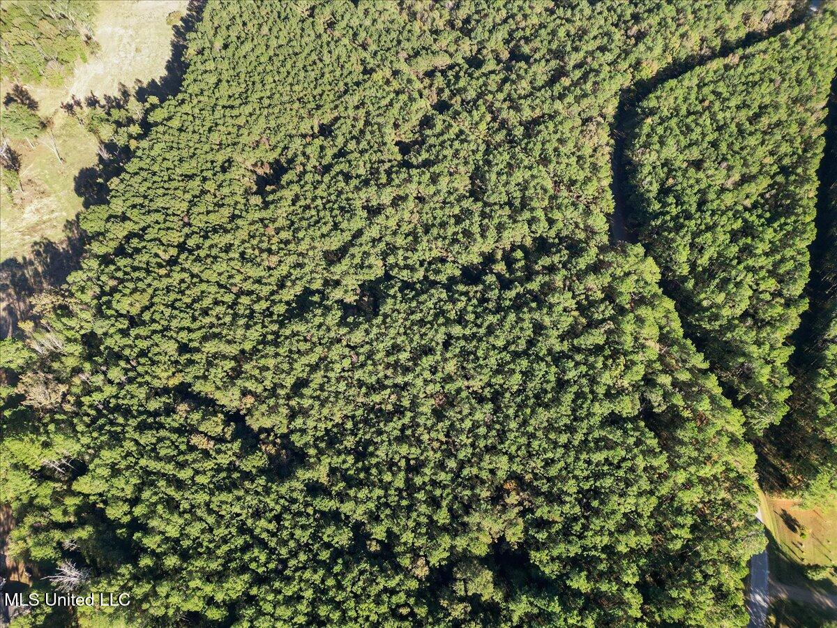 Jimmie Drive Forest, MS 39074 - Photo 5 of 11 04-IMG_3845