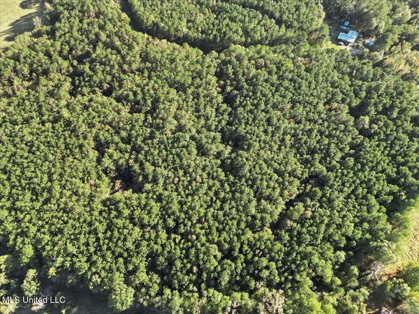 $36,000 | Jimmie Drive, Forest, MS 39074