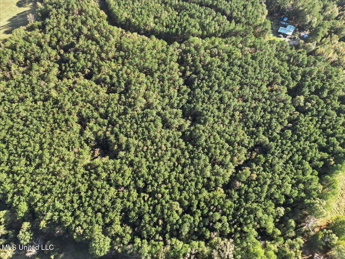 Jimmie Drive Forest, MS 39074 - Photo 6 of 11 05-IMG_3837