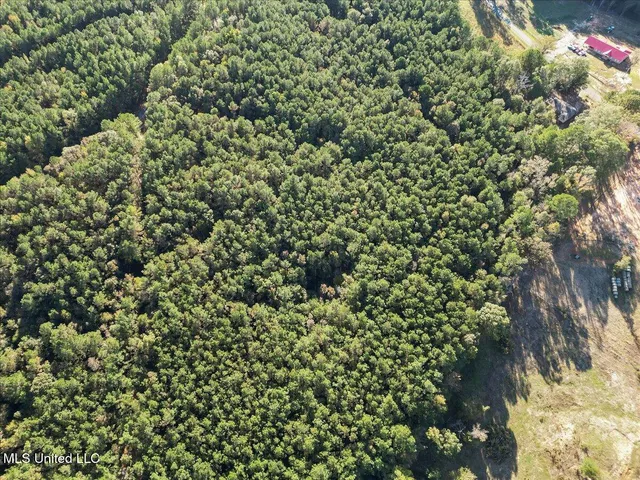 $36,000 | Jimmie Drive, Forest, MS 39074