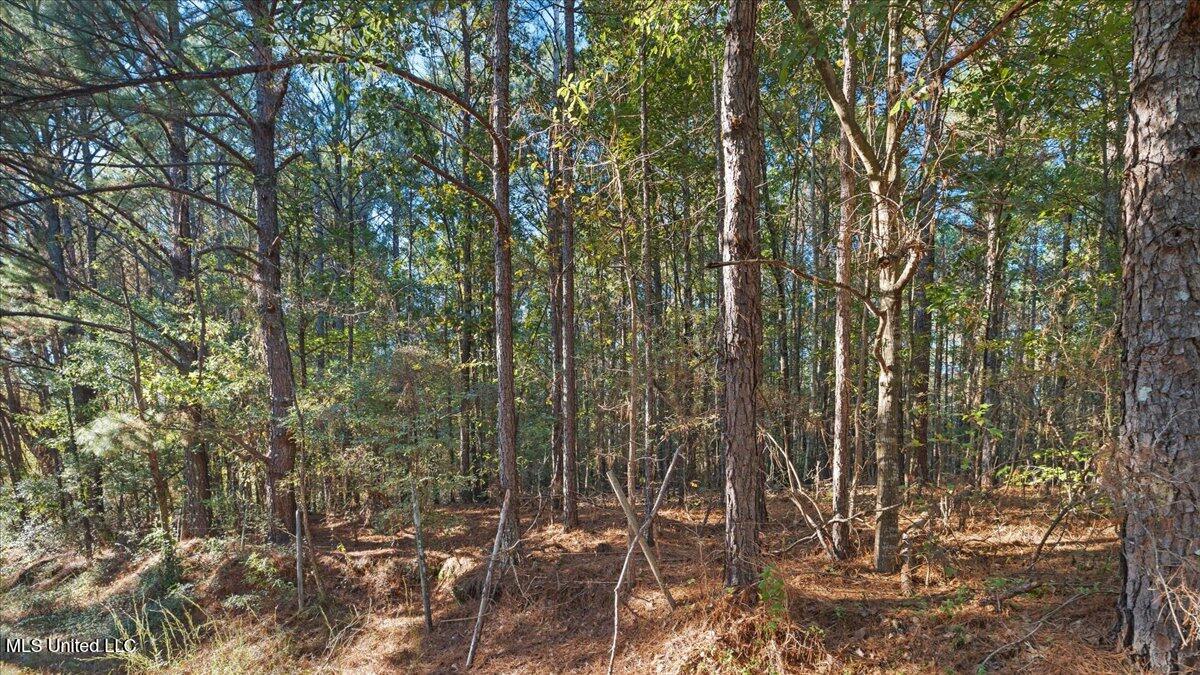 Jimmie Drive Forest, MS 39074 - Photo 8 of 11 10-IMG_3843