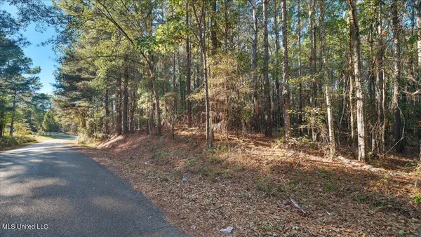$36,000 | Jimmie Drive, Forest, MS 39074