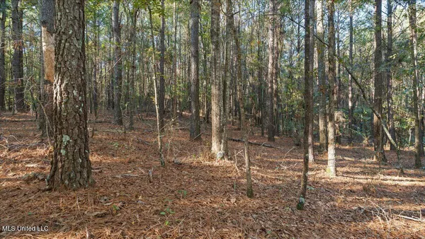 $36,000 | Jimmie Drive, Forest, MS 39074