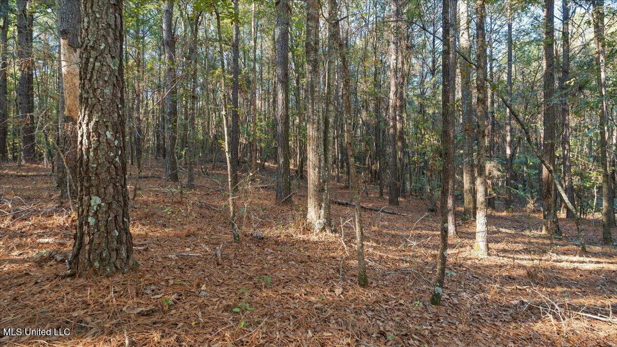 Jimmie Drive Forest, MS 39074 - Photo 10 of 11 15-IMG_3848