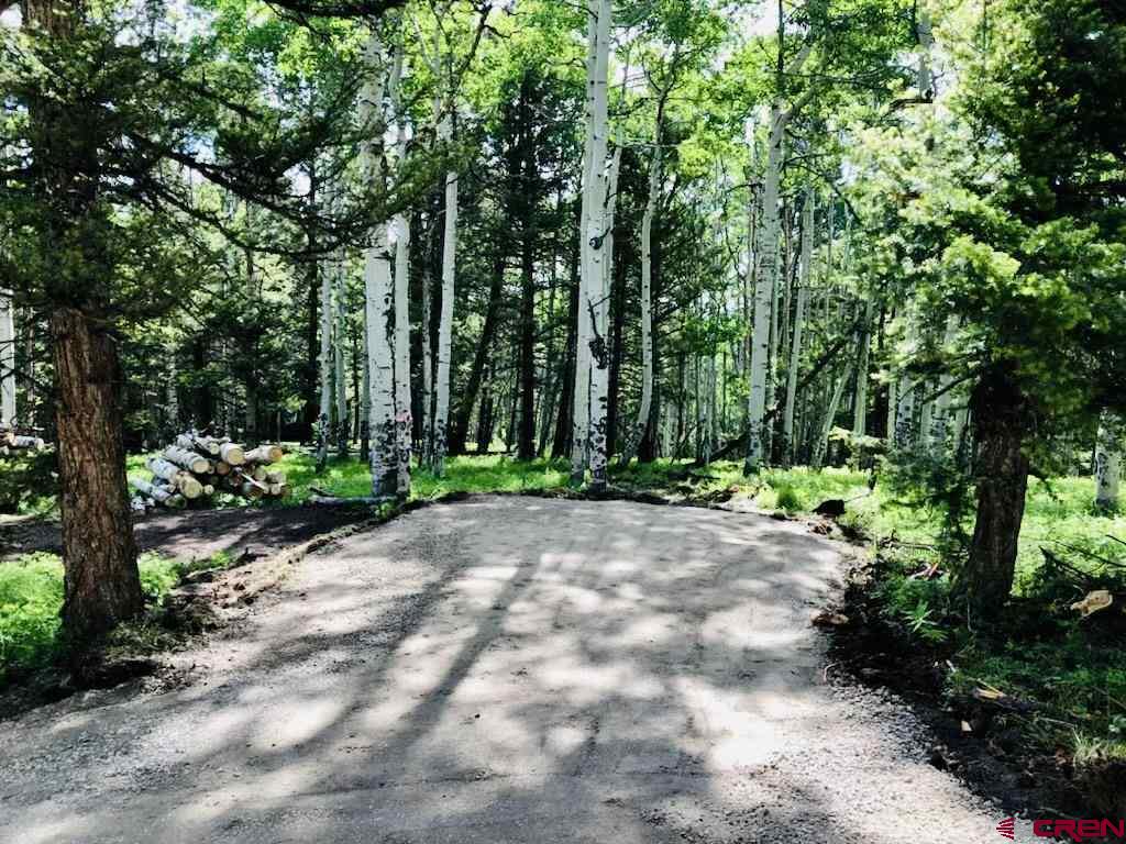 620 Crest Drive Cimarron, CO 81220 - Photo 2 of 7