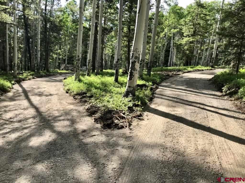 620 Crest Drive Cimarron, CO 81220 - Photo 5 of 7