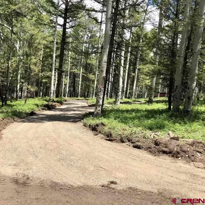 620 Crest Drive Cimarron, CO 81220 - Photo 6 of 7