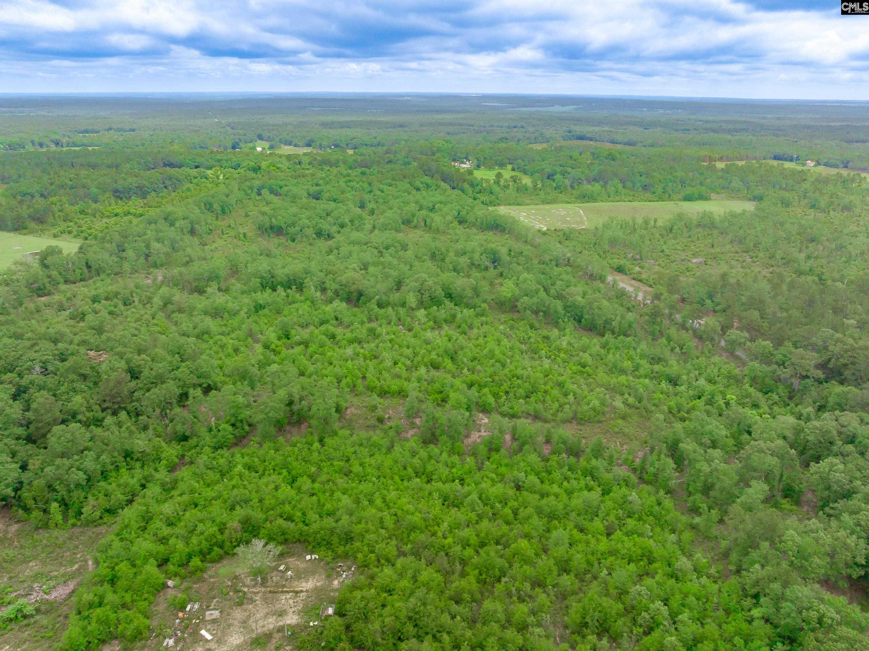 0 Seivern Road Wagener, SC 29164 - Photo 15 of 23