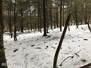 Davis Road Beach Lake, PA 18405 - Photo 16 of 22