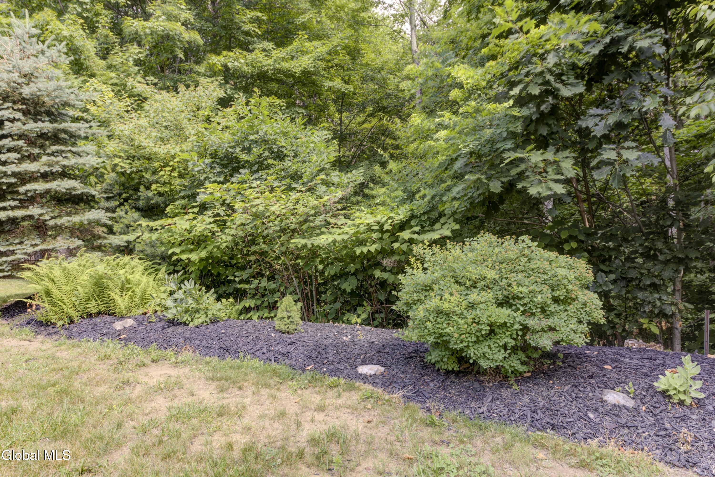 658 Coy Road Greenfield, NY 12833 - Photo 31 of 34 658 Coy Rd-34