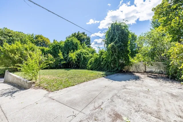 a view of a yard with plants and trees