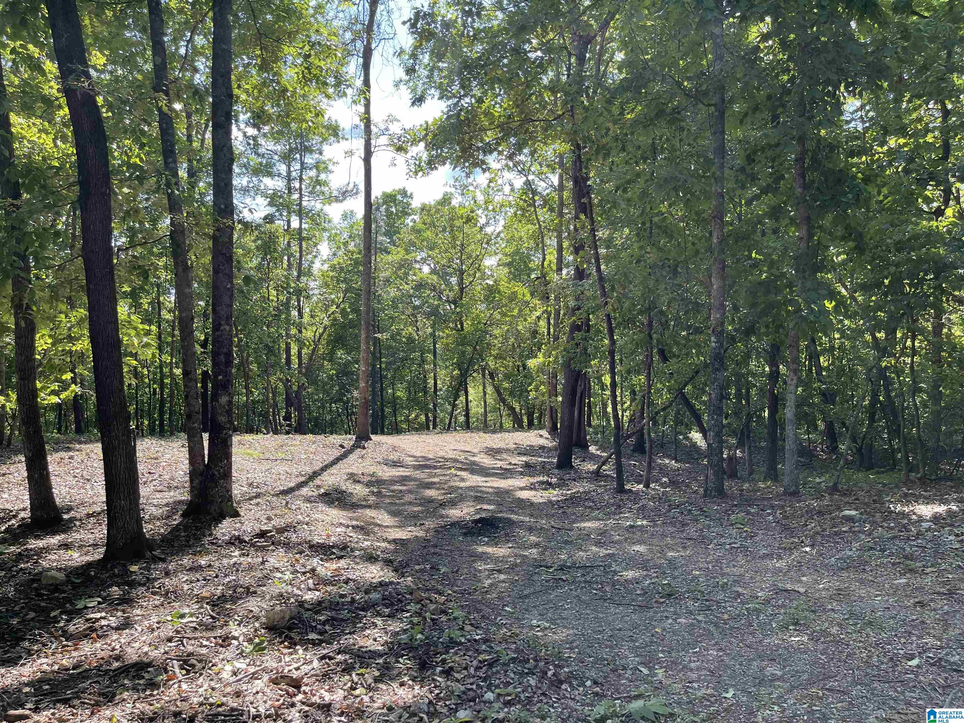84 Rustic Drive, Unit 2 Harpersville, AL 35078 - Photo 17 of 23