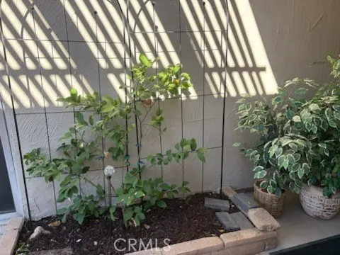 a potted plant sitting in front of a house