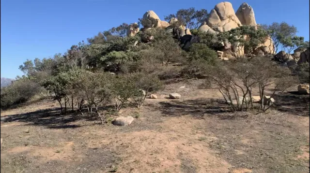 a view of a backyard of a house