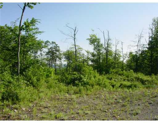 0 Bluff Road Concord Township, ME 04920 - Photo 2 of 5 Land.