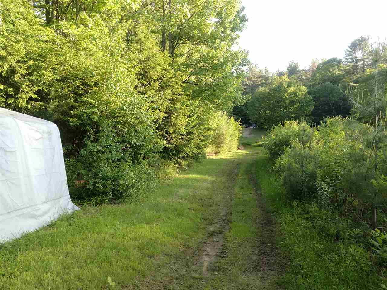 280 Catamount Road Pittsfield, NH 03263 - Photo 35 of 37