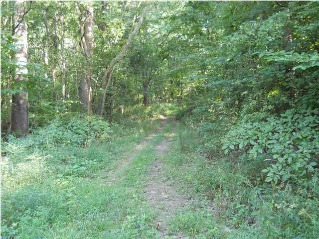 0 Goad Cemetery Road New Harmony, IN 47631 - Photo 1 of 13