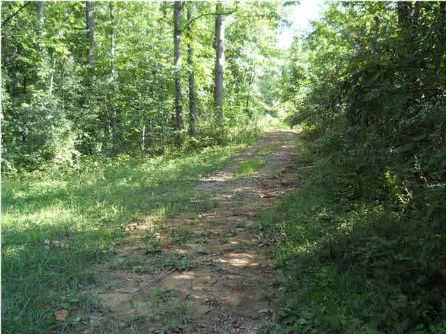0 Goad Cemetery Road New Harmony, IN 47631 - Photo 4 of 13
