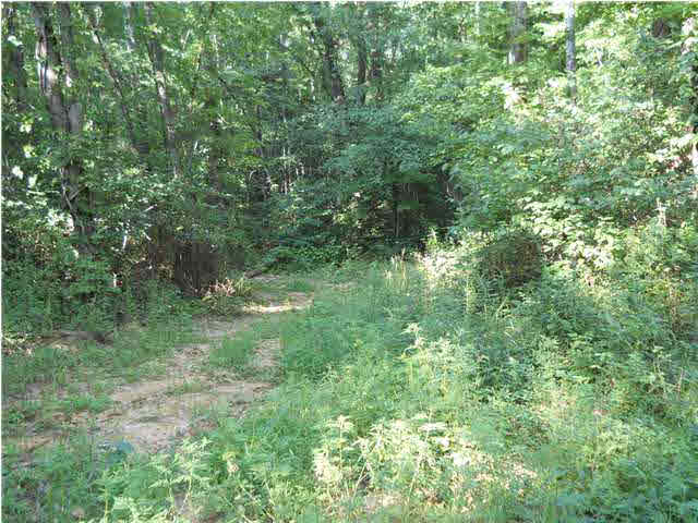 0 Goad Cemetery Road New Harmony, IN 47631 - Photo 5 of 13