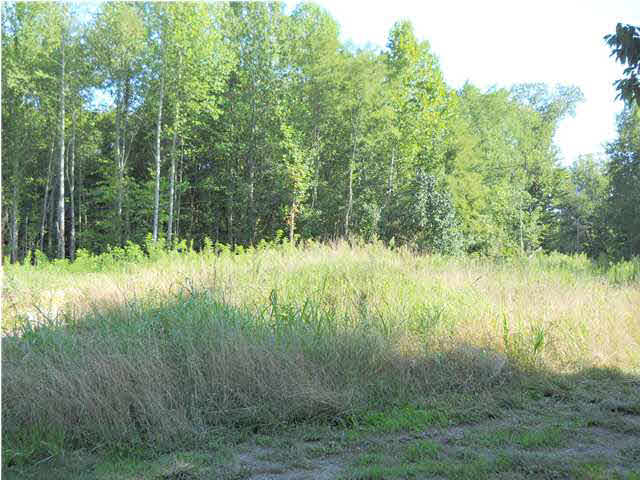 0 Goad Cemetery Road New Harmony, IN 47631 - Photo 7 of 13