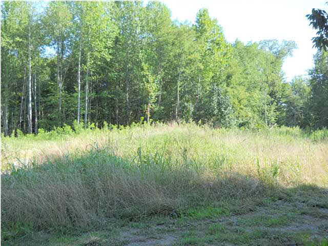 0 Goad Cemetery Road New Harmony, IN 47631 - Photo 8 of 13