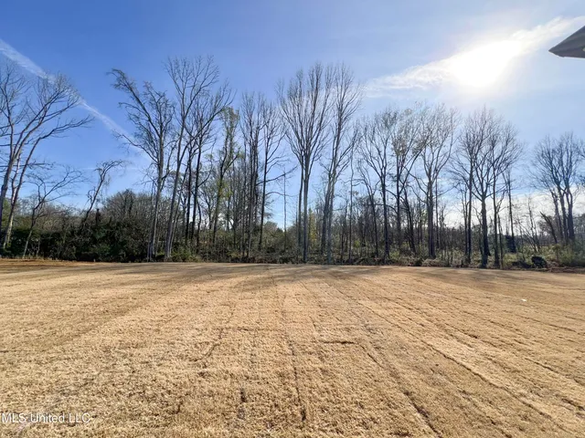 $420,900 | 2444 Scott Mdws Lane, Hernando, MS 38632