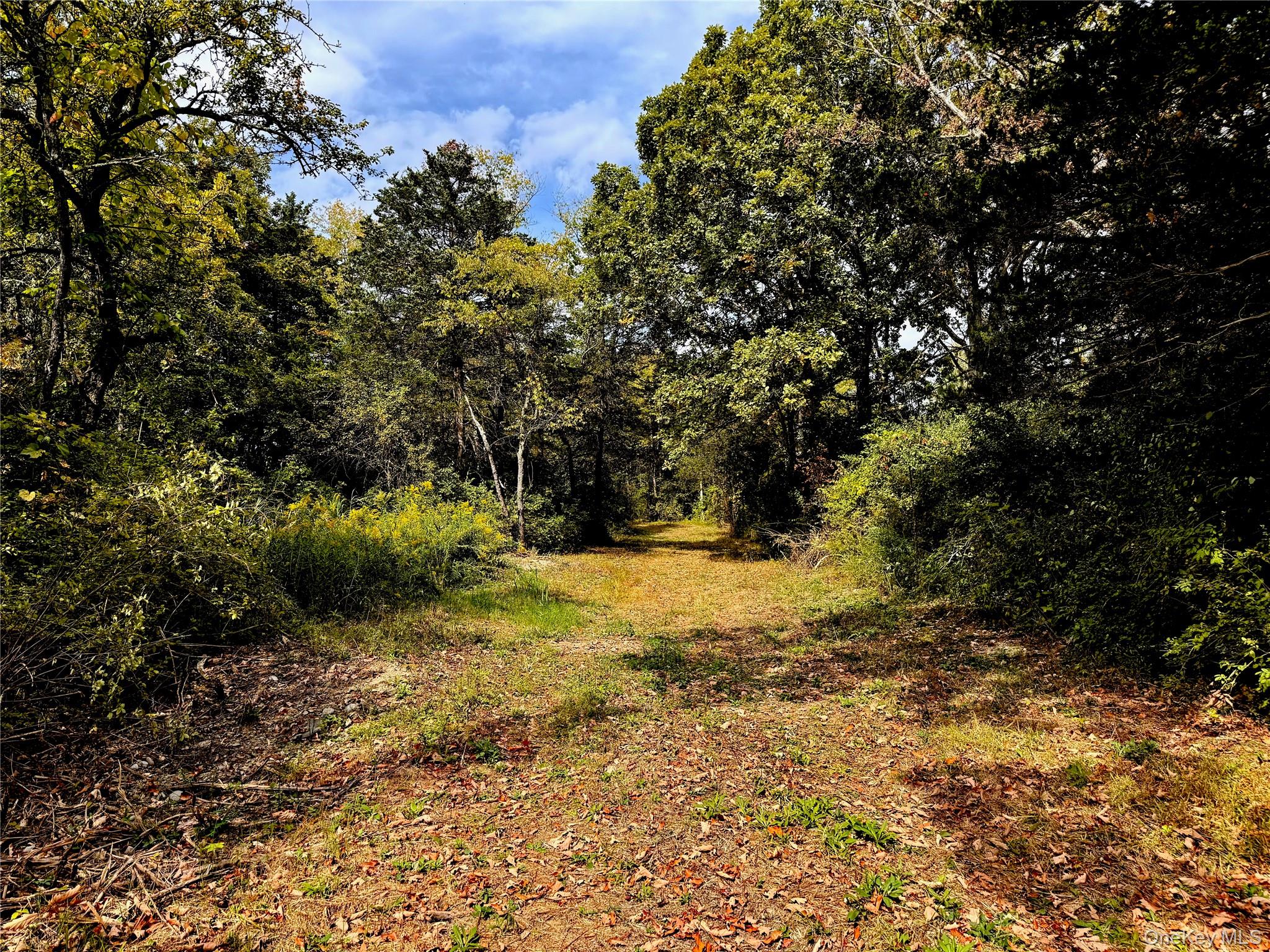 7 Stickle Road Hudson, NY 12534 - Photo 3 of 6