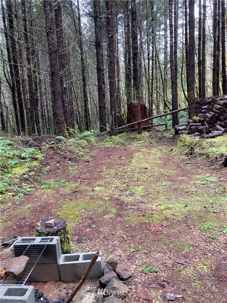 -xx Reller Road Shelton, WA 98584 - Photo 5 of 17 Gallery Image 5