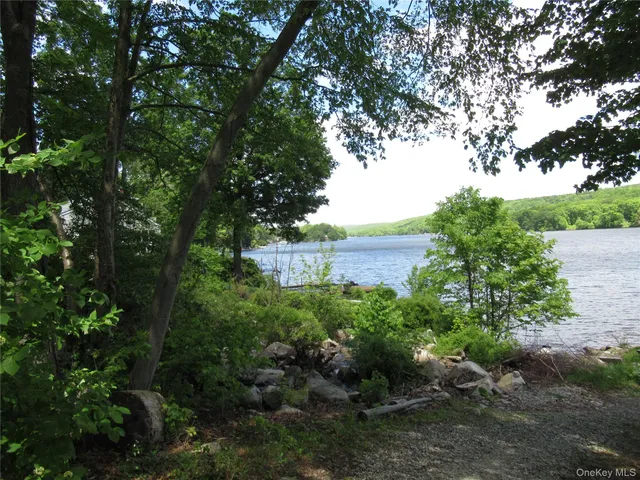 a view of a garden with plants and large trees