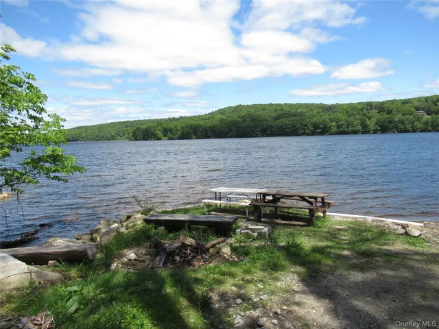 a view of lake with lots of trees