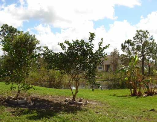 15362 76th Road North Loxahatchee, FL 33470 - Photo 7 of 7 Additional Photo