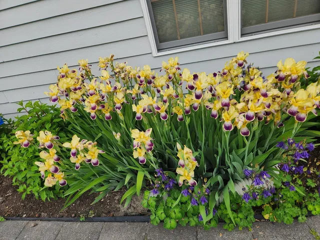 $1,150,000 | 395 Blue Ash Drive, Buffalo Grove, IL 60089