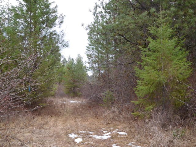 1802 Hutchison Road Addy, WA 99101 - Photo 3 of 6