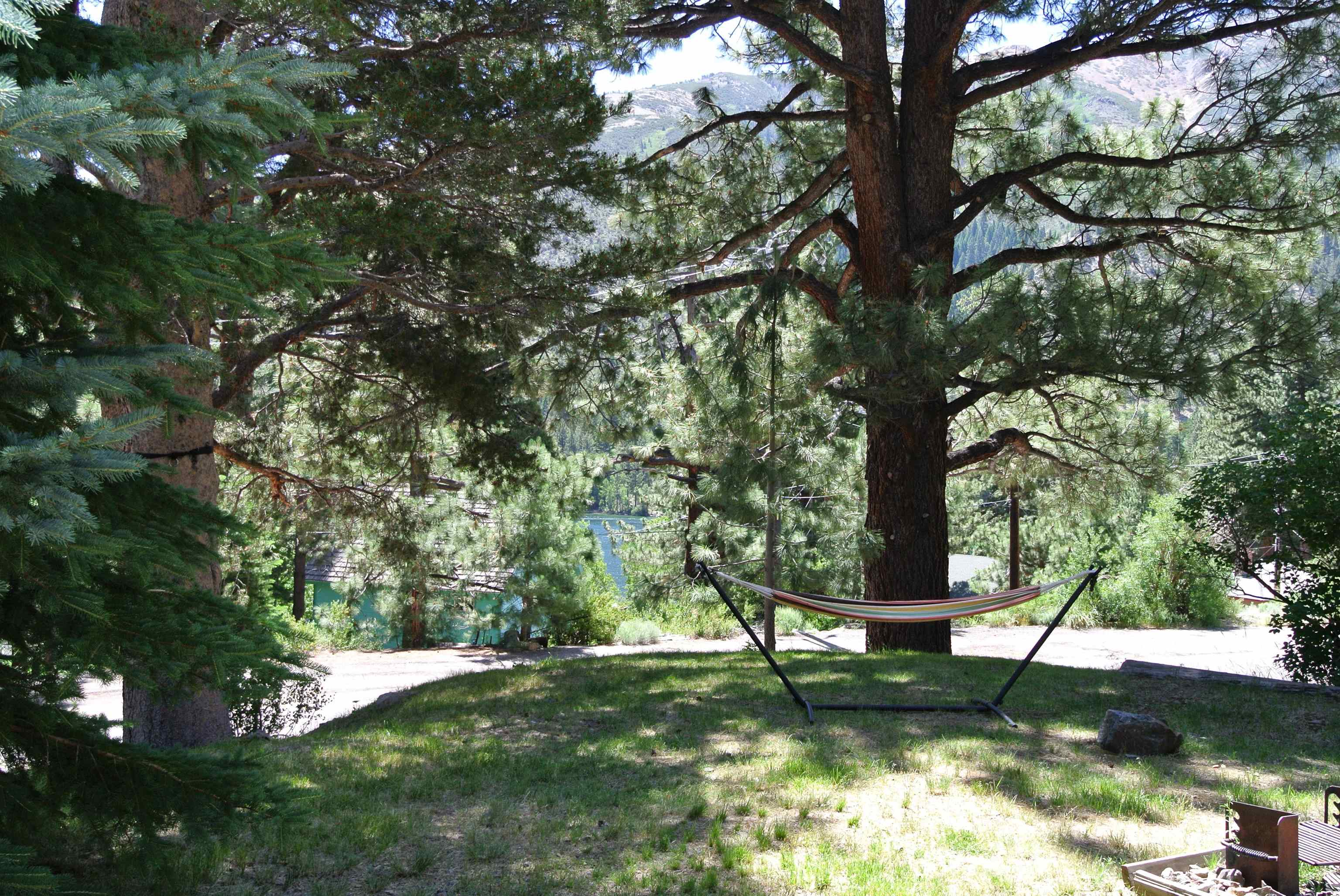 11702 Twin Lakes Road Bridgeport, CA 93517 - Photo 6 of 21 Expansive exterior grounds featuring mature evergreen trees and natural landscaping