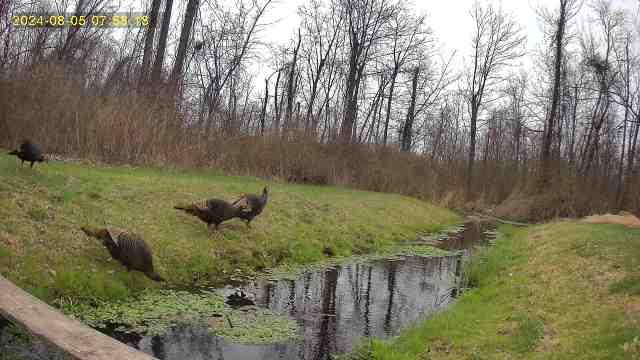 5 Westmont Road Wethersfield, CT 06109 - Photo 22 of 23