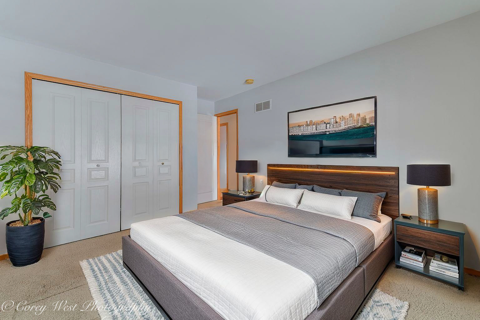 620 Ridge Drive Elburn, IL 60119 - Photo 35 of 46 a bedroom with a bed and a potted plant