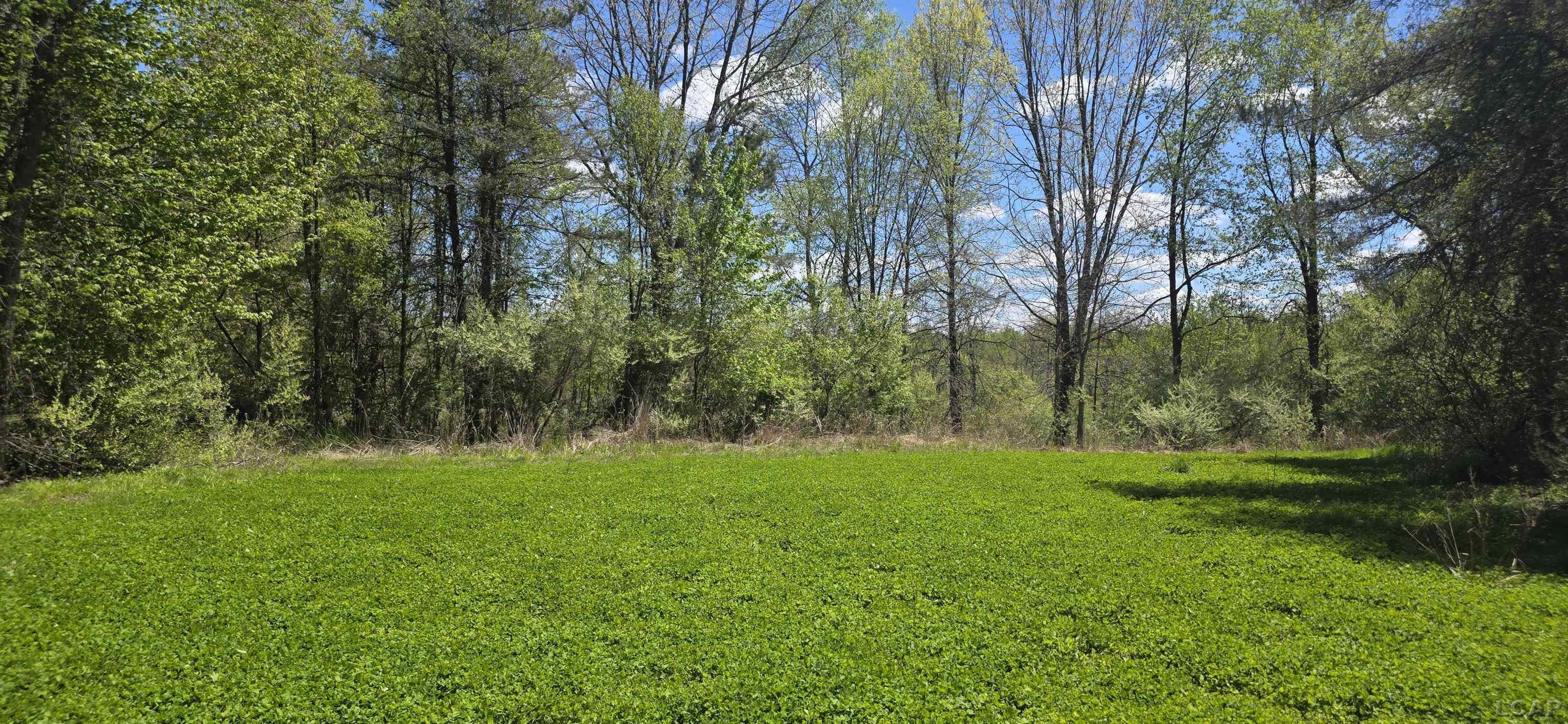 15252 27 Mile Road Albion, MI 49224 - Photo 33 of 57