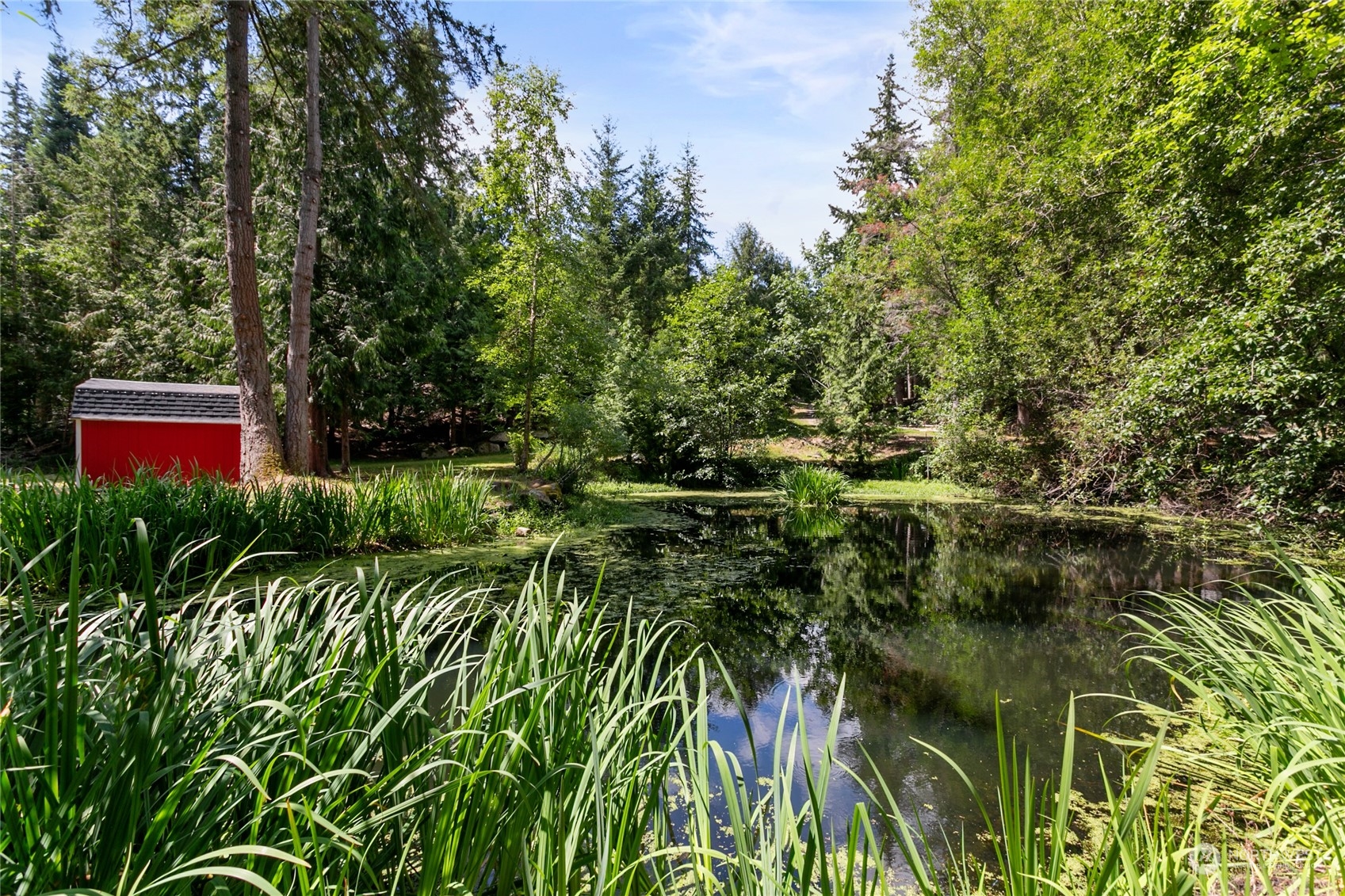 3734 Britton Road Bellingham, WA 98226 - Photo 32 of 40 a view of a garden