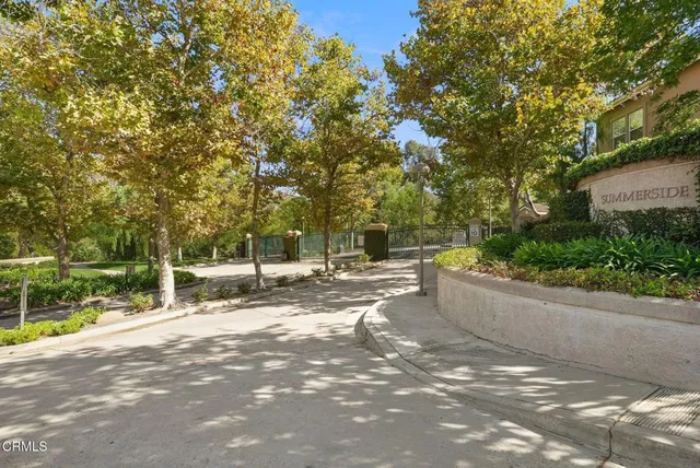 a view of backyard with large trees and wooden fence