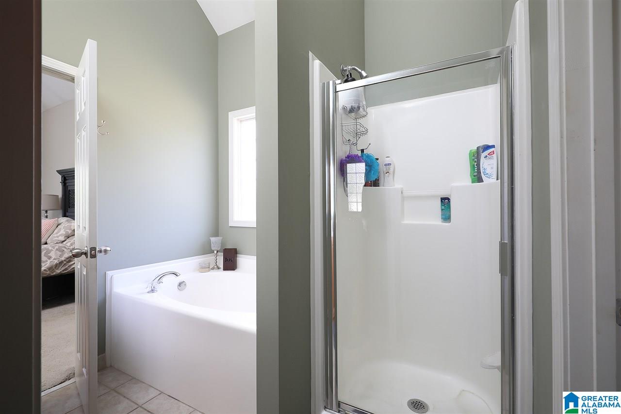 253 Rocky Ridge Drive Helena, AL 35080 - Photo 19 of 28
