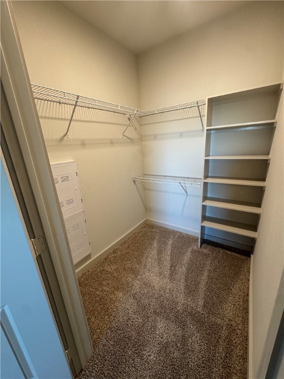 6000 Jones Road, Unit 4202 Bryan, TX 77807 - Photo 17 of 19 a view of walk in closet with empty racks