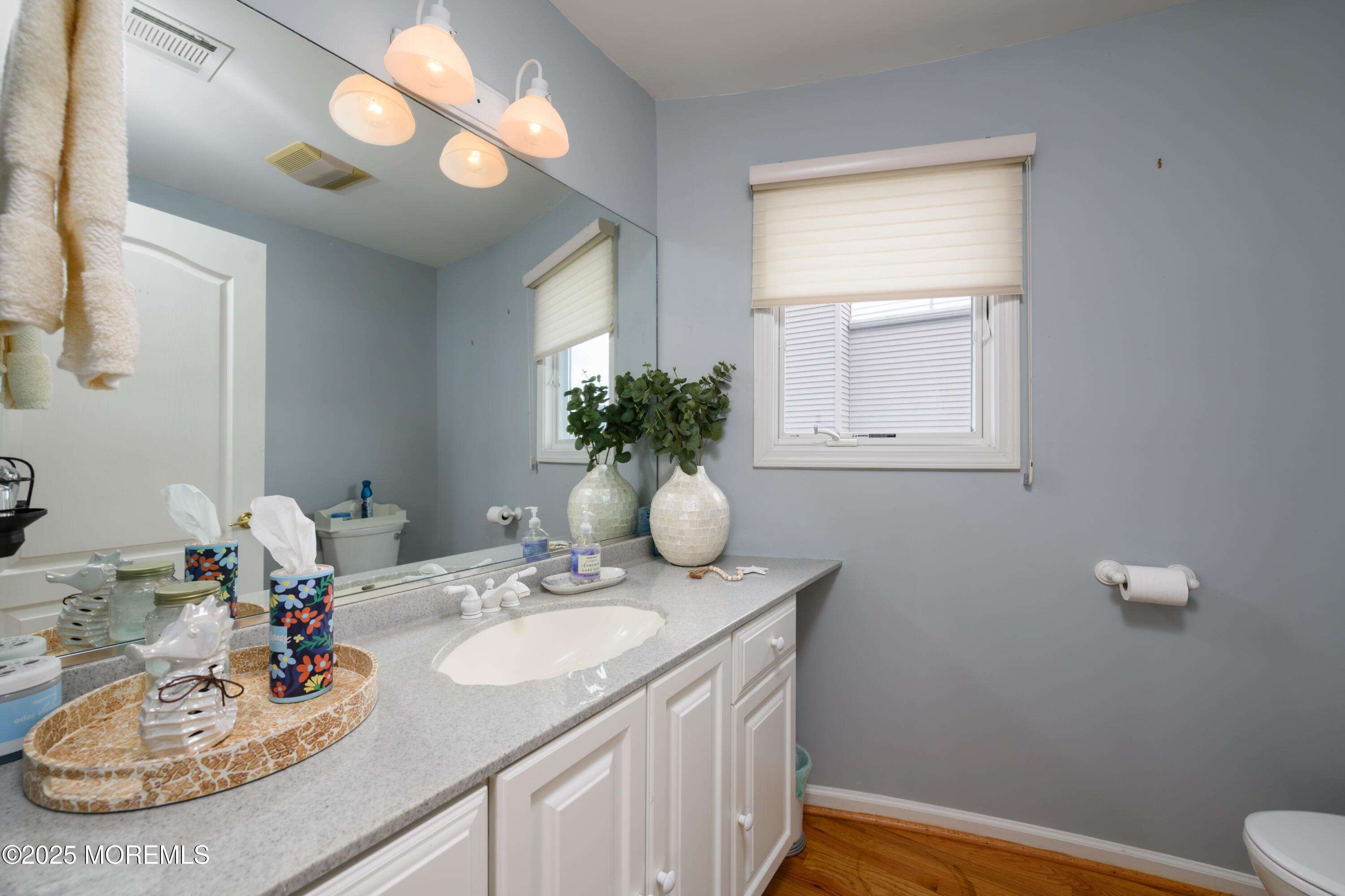 42 Bay Breeze Drive Toms River, NJ 08753 - Photo 28 of 33 a bathroom with a sink and a mirror