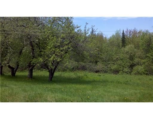 240 Pattagumpus Road Medway, ME 04460 - Photo 2 of 9 Yard/Garden.
