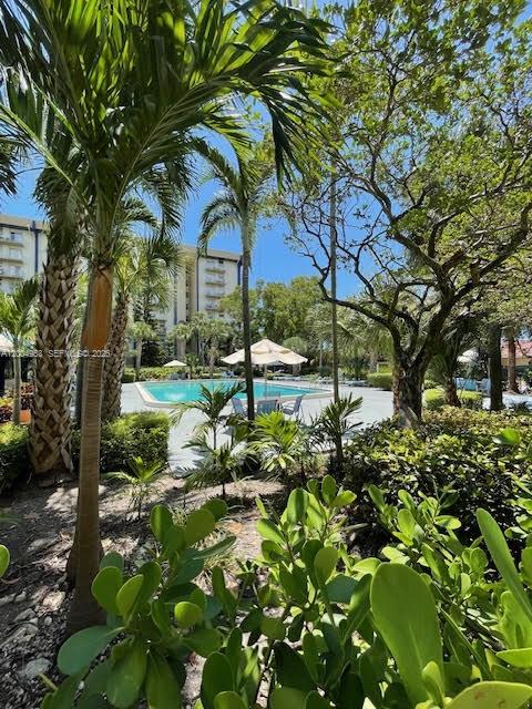 4550 Northwest 9th Street, Unit 803E Miami, FL 33126 - Photo 27 of 31 a view of a garden