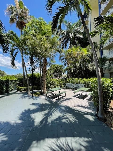 4550 Northwest 9th Street, Unit 803E Miami, FL 33126 - Photo 29 of 31 a row of palm trees