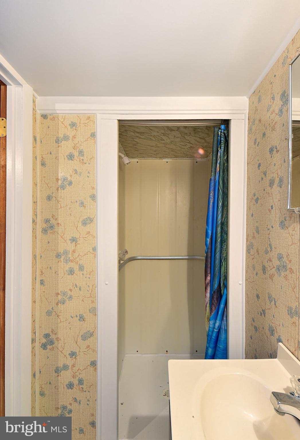 3702 East Joppa Road Nottingham, MD 21236 - Photo 46 of 65 Cozy bathroom with floral accents.
