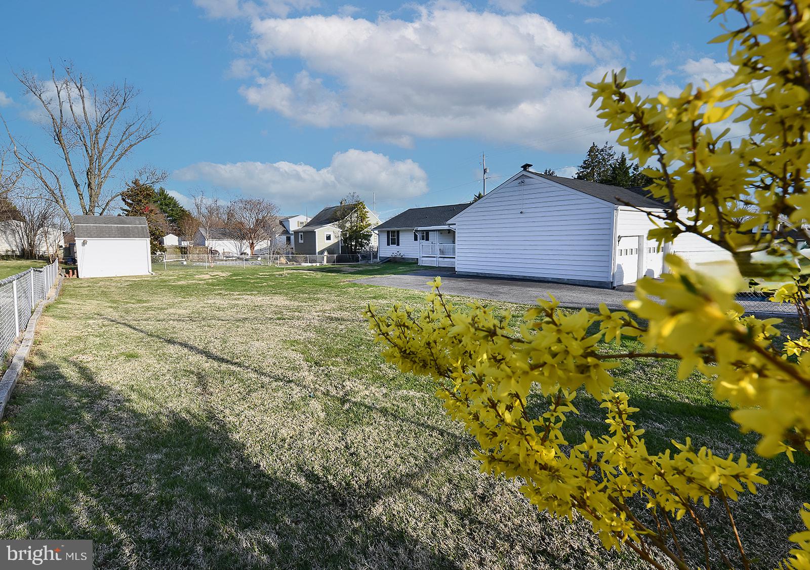 3702 East Joppa Road Nottingham, MD 21236 - Photo 52 of 65 Spacious yard with blooming forsythia.
