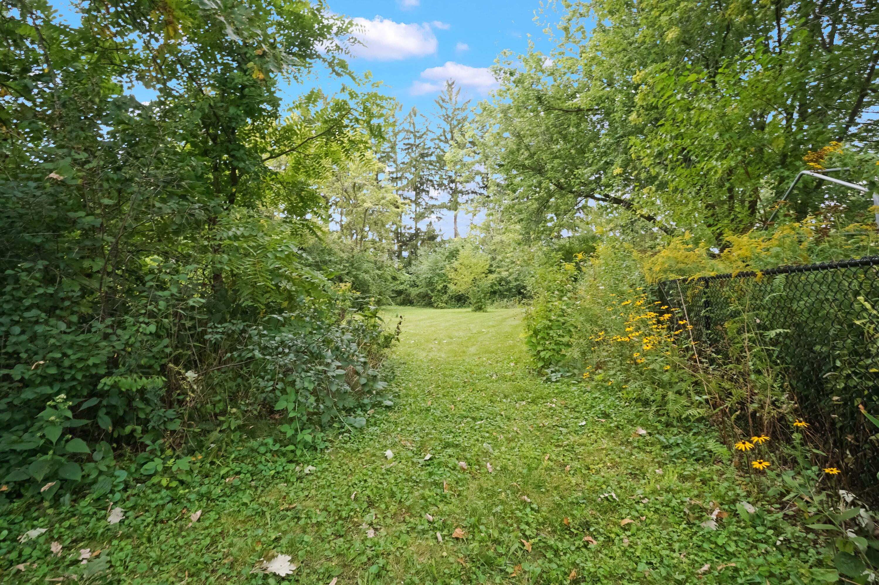 8221 North Cedarburg Road Brown Deer, WI 53209 - Photo 31 of 35 Backyard